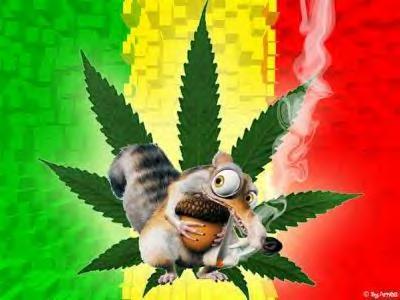 La noisette a la maka